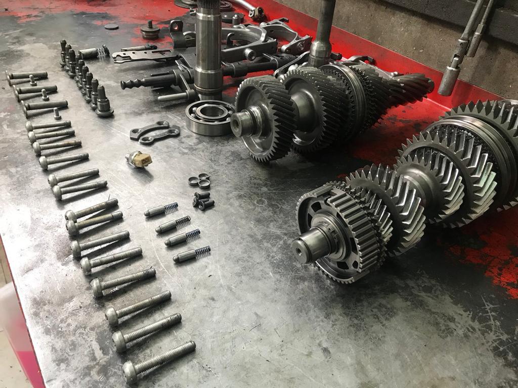 WhatsApp Image 2023-07-04 at 10.13.12